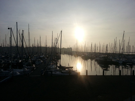 Stichting Jachthaven Enkhuizen 12