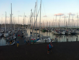 Stichting Jachthaven Enkhuizen 13