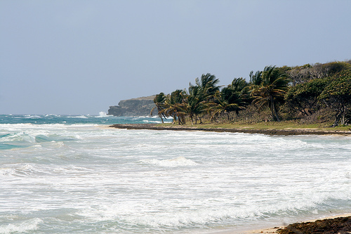 Baie des Anglais