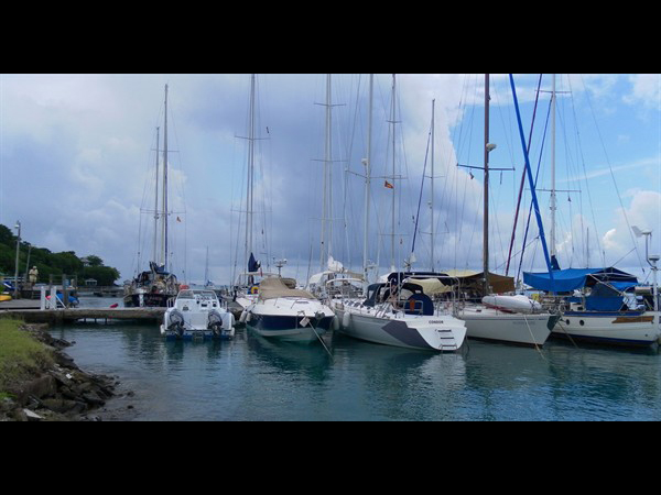 Prickly Bay Marina