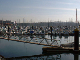 Puerto Deportivo El Abra-Getxo 15