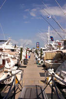 A & B Marina