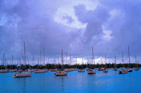 Coconut Grove Sailing Club (Dinner Key)