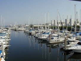 The Harborage Marina at Bayboro