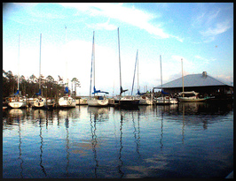 Pirates Cove  Marina