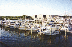 Cyprus Cove Marina