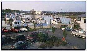 Cyprus Cove Marina 2