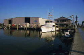 Cyprus Cove Marina 3