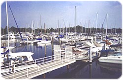 Marina Del Ray