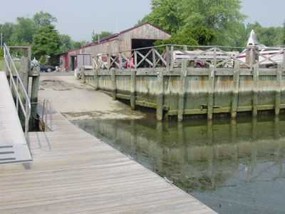 Patsys Bay Marina