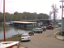 Bay Hill Marina