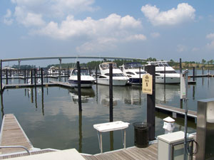 The Marina at The Wharf