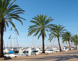 Port Masnou 4