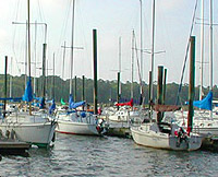 Sail Harbor Marina 2