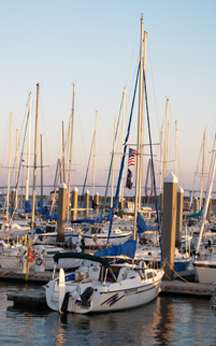 Cooper River Marina