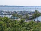 Harbor Island Marina