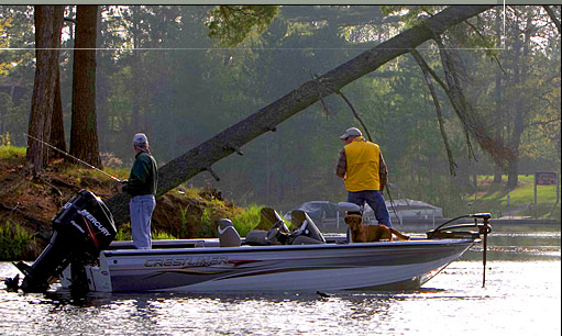 Amherst Marina