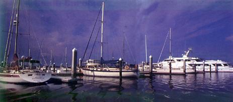 Skull Creek Marina