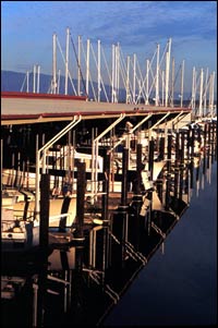 Anacortes Marina