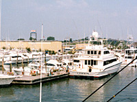 South Jersey Marina