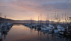 Pillar Point Harbor