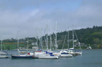 Royal Cork Yacht Club