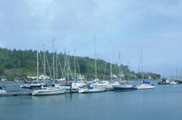 Royal Cork Yacht Club