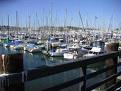 Shelter Island Marina and America´s Cup Harbor