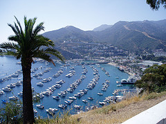 Avalon Harbor