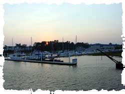 Crickett Cove Marina