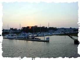 Crickett Cove Marina