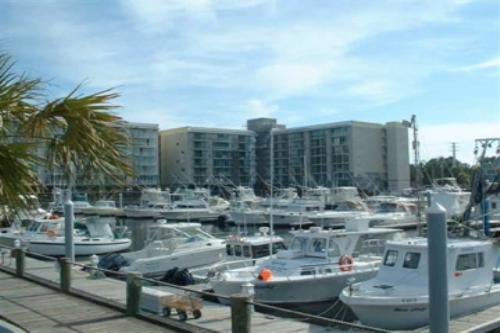 Harbourgate Marina