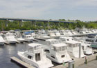 Harbourgate Marina