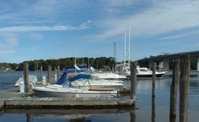 Oak Leaf Marina 3