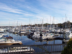 Wickford Marina