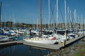 Richardson Bay Marina