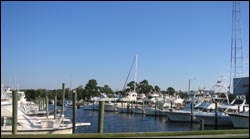 Wilmington Marine Center