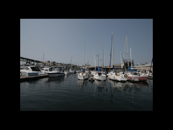 Lake Union Waterworks Marina