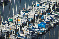 Seattle Marina inc