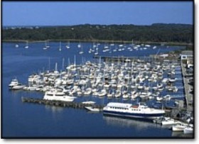 Hewitts Cove Marina