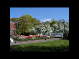 Prescott Park Municipal Dock 3