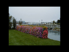 Prescott Park Municipal Dock 4