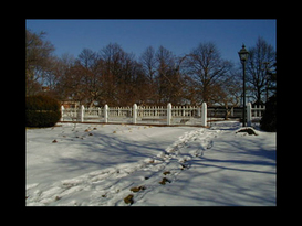 Prescott Park Municipal Dock 5