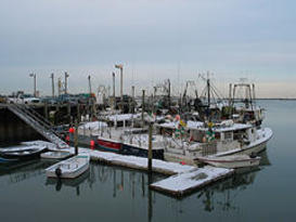 Scituatate Harbor Marina 2