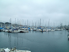 Northside Marina