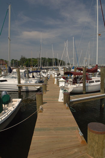 Annapolis City Marina