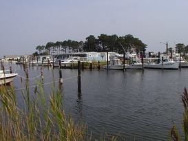 Dandy Haven Marina