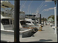 Rudee´s Inlet Station Marina