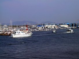 Porto Viareggio spa