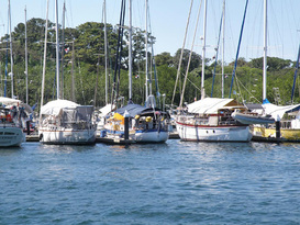 Bocas Yacht Club and Marina 3